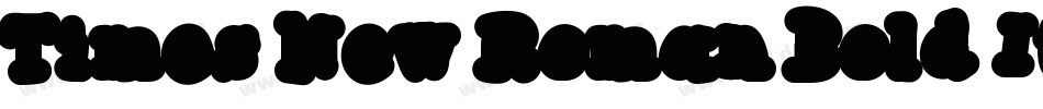 Times New Roman Bold Italic(1)字体转换